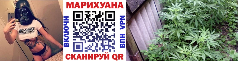 Бошки марихуана THC 21%  hydra как зайти  Ярцево  где найти наркотики 